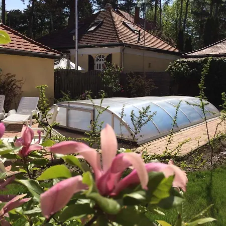 Holiday In Siofok/balaton 31176